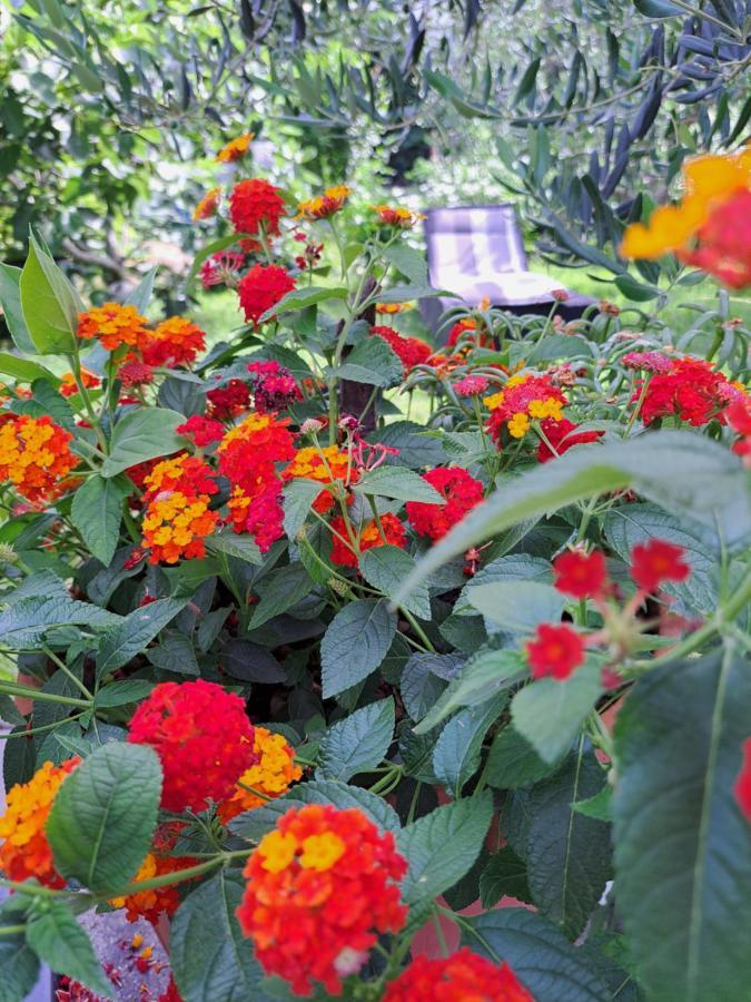 Apartment Noa'S Garden Бибинье Экстерьер фото